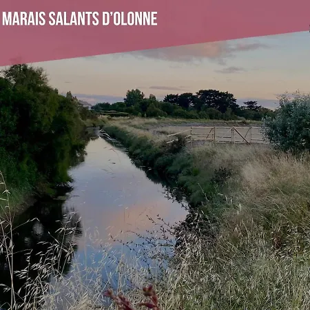 Appartamento Idéalement Situé - Grand Port Olona 4pers *